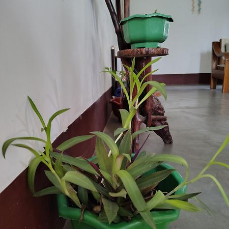 Gayatri Homestay Dibrugarh Exterior photo
