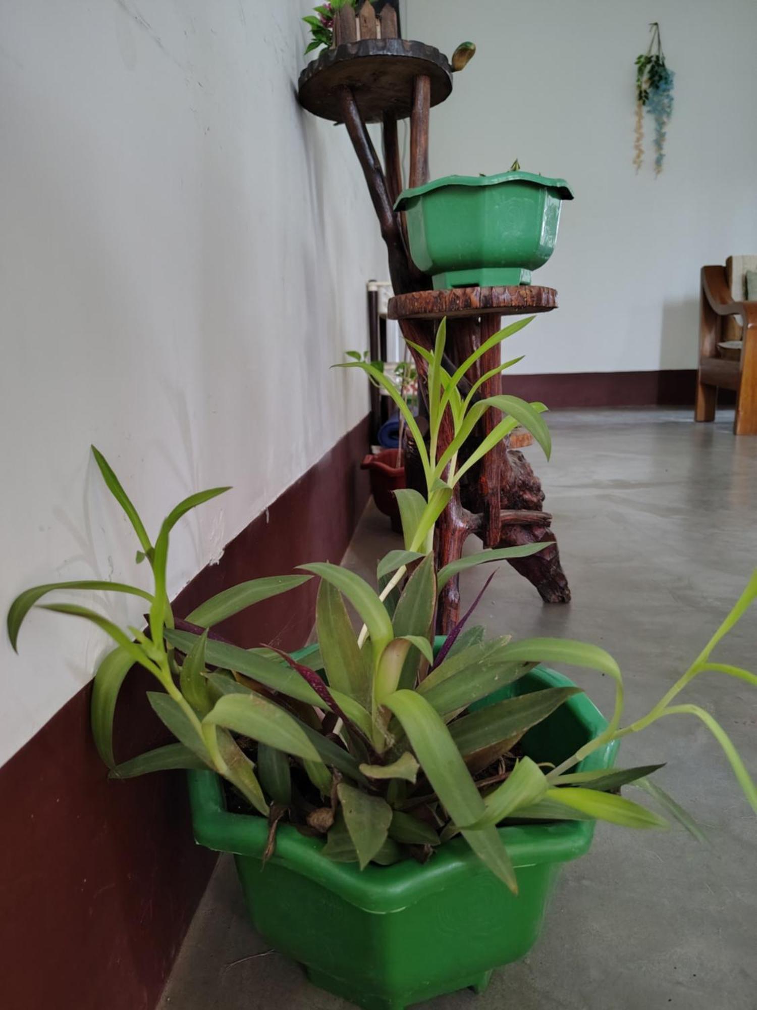 Gayatri Homestay Dibrugarh Exterior photo